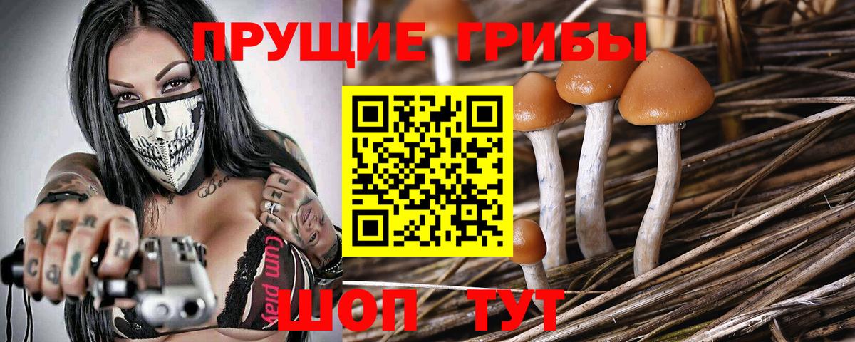 Галлюциногенные грибы MAGIC MUSHROOMS  Псилоцибиновые грибы GOLDEN TEACHER  Вход с VPN  Менделеевск 
