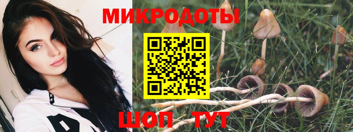 Галлюциногенные грибы Psilocybine cubensis Менделеевск